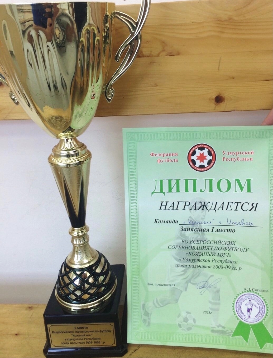 Всероссийское соревнование по футболу «Кожаный мяч».